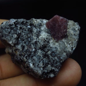 May include: A dark grey rock with a large, red ruby crystal embedded in it.