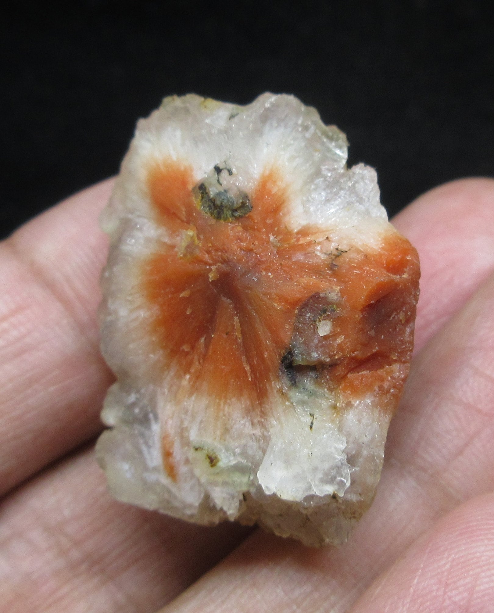 スコレサイト　カルセドニー スコレサイトwithカルセドニー 原石 | 原石 | Crystals by Purely