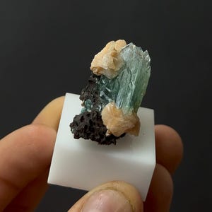 Puede incluir: Un espécimen mineral con un grupo de cristales translúcidos de color azul verdoso. Los cristales están acentuados por formaciones beige y marrón oscuro, presentados sobre una base rectangular blanca. El fondo es negro liso.