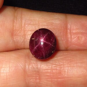 May include: A deep red star ruby gemstone with a six-pointed star in the center.
