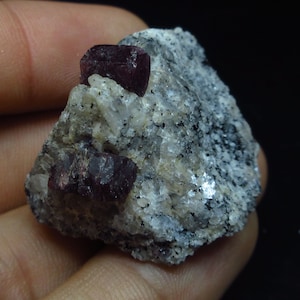 Può includere: Un piccolo campione di roccia con due cristalli rossi incastonati. La roccia è per lo più grigia con alcuni cristalli bianchi.