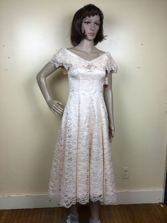 Vintage Chantilly Lace cocktail Dress, Blush Lace… - image 6