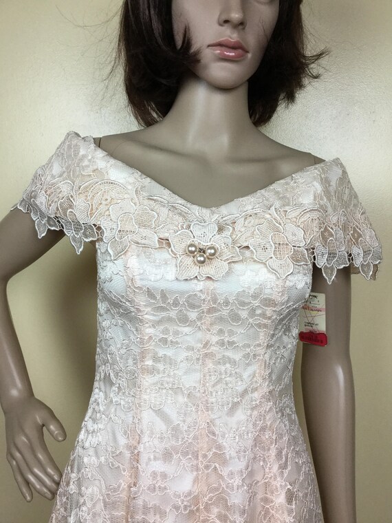 Vintage Chantilly Lace cocktail Dress, Blush Lace… - image 8