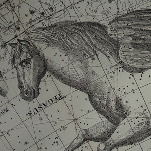 Antique ASTROLOGY print old star chart Dutch vintage astronomy poster of Pegasus Equuleus Delphinus Aquarius sign constellation stars zodiac