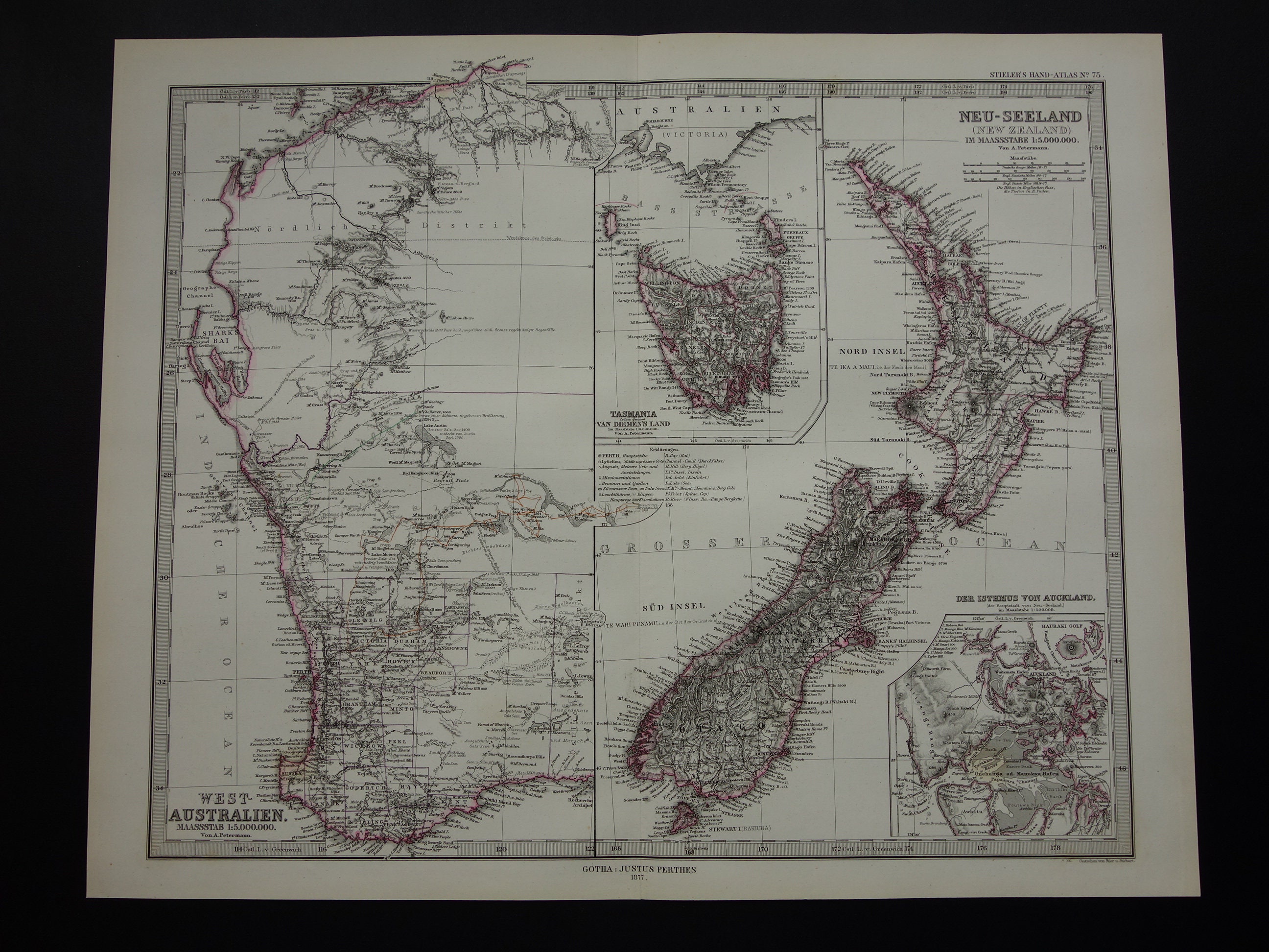 ニュージーランド地図 1877年 タスマニア NZ 西オーストラリアの大きな
