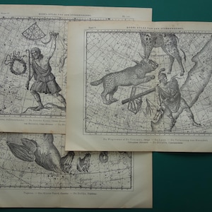 Antiker ASTRONOMIE Druck alter Kartendruck 3er Set Vintage Pegasus Auriga Boötes Astrologie Konstellation Nordhimmel