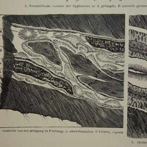 May include: A detailed black and white illustration of geological formations. The image shows cross-sections of rock layers with varying textures and patterns. Text in German and Dutch is present.