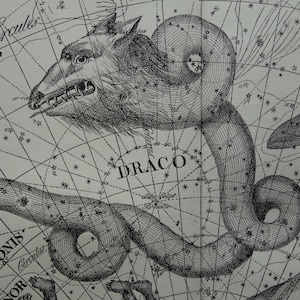 Alte holländische Astronomie Karte des Drachen Draco Cepheus Reindeer Sternzeichen Astrologie Druck Illustration Konstellation Astrologie