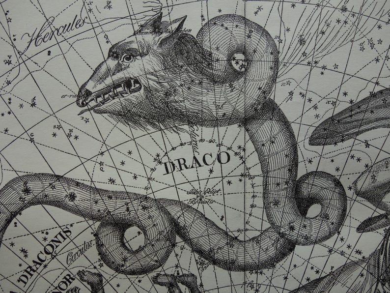 Old Star Chart Dutch Vintage Astronomy Map of Dragon Draco Cepheus ...