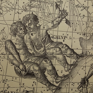 ZWILLINGE und STIER alter Astrologie Druck Original antike holländische Sternzeichen-Illustration - Vintage Astronomie Drucke - Horoskop Geschenke Geschenk
