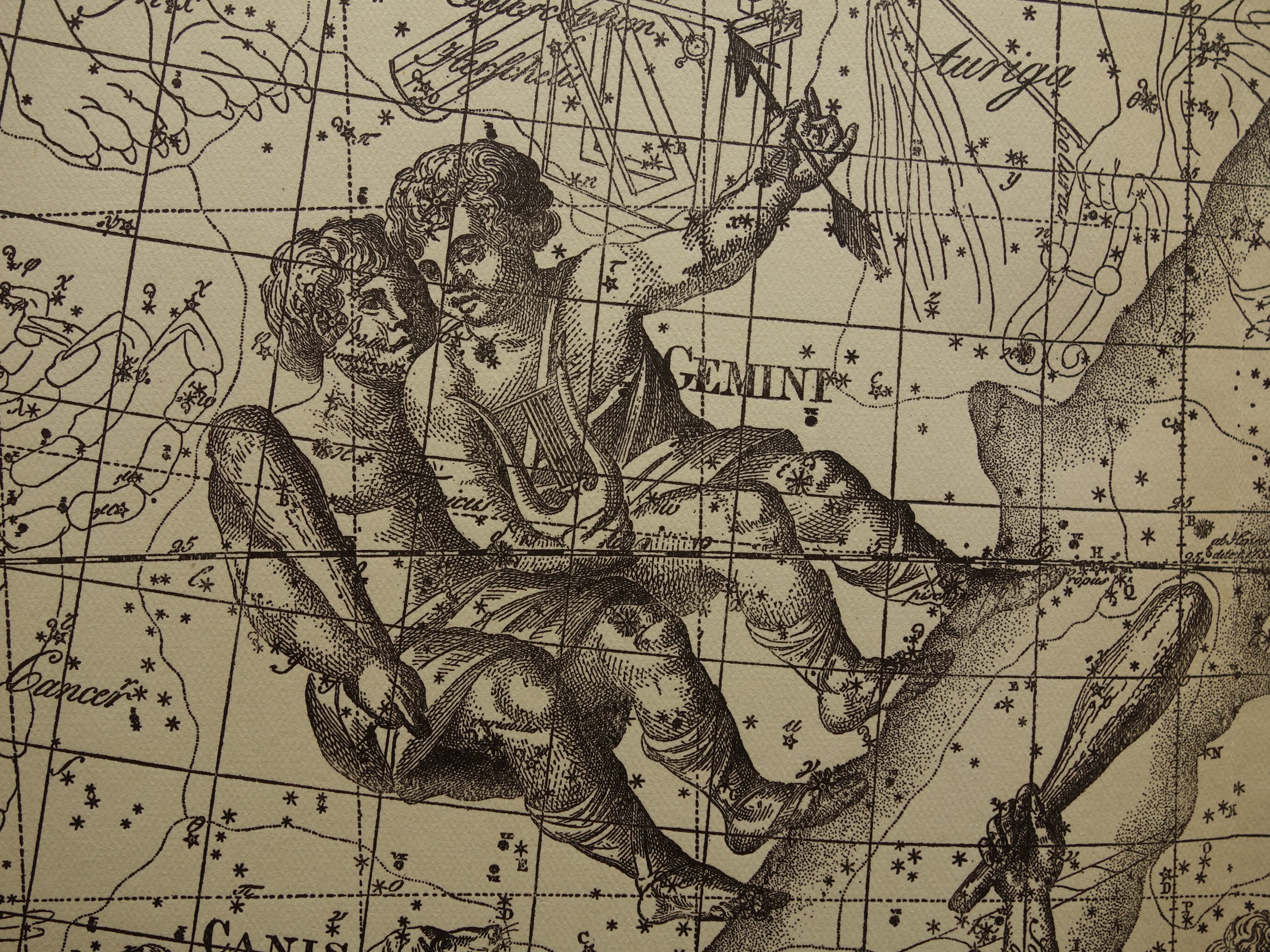GEMINI and TAURUS Old Astrology Print Original Antique Dutch