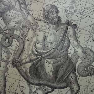 Alte holländische Vintage Astronomie Druck von Aquila Adler Ophiuchus Taurus Schlange Astrologie Zeichen Konstellation Sterne antike Drucke