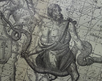 Old star chart Dutch vintage astronomy print of Aquila Eagle Ophiuchus Taurus Snake astrology sign constellation stars antique prints