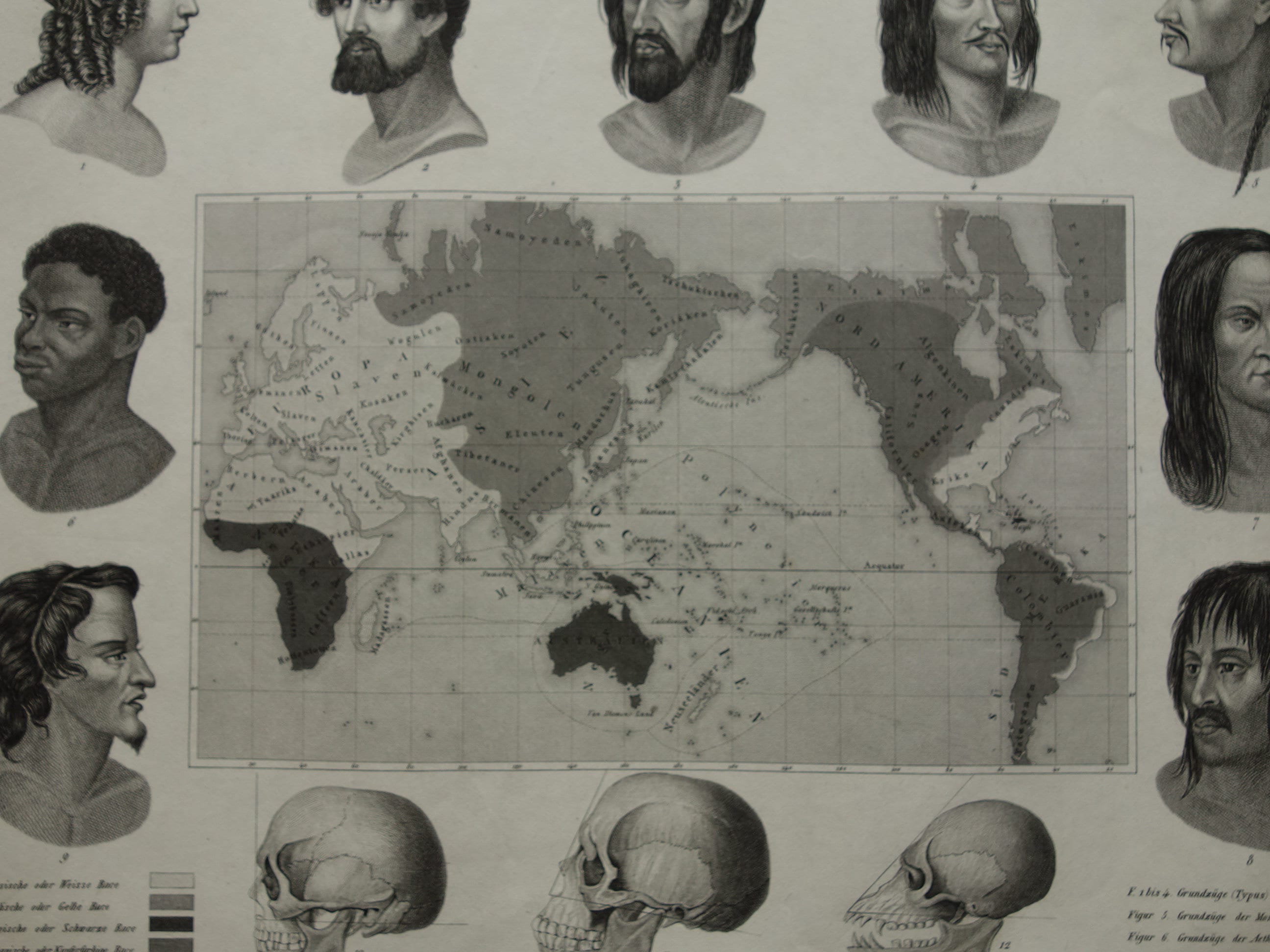 Human Races Of The World