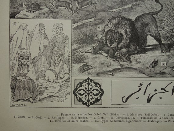 Photo Vintage Algérie Vers 1895 - Troupe Française à Cheval, Tirage Citrate 6x9 Cm