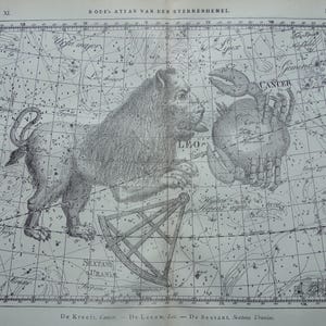 ASTROLOGY antique print Old star chart vintage astronomy poster of Leo Cancer zodiac sign constellation signs illustration gifts