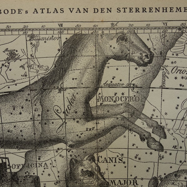 Old star chart Dutch vintage astronomy map of Unicorn Argo Rabbit Lepus Dove sign constellation stars zodiac astrology antique illustration