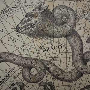 Alte holländische Astronomie Karte des Drachen Draco Cepheus Reindeer Sternzeichen Astrologie Druck Illustration Konstellation Astrologie