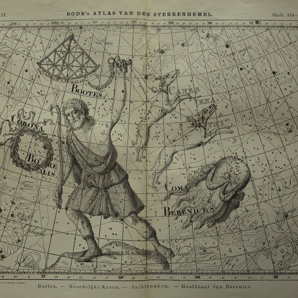 Old star chart Dutch vintage astronomy print of Canes Vena Bootes Virgo Coma Berenice sign Constellation stars antique illustration prints