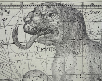 Old star chart Dutch vintage astronomy print of Cetus Whale Eridanus constellation stars zodiac sign Antique astrology poster prints