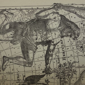 Ancienne carte du monde astronomie vintage hollandaise, cygne, cygne, voie lactée, renard, oie, hercule, vautour, signe, constellation, étoiles, étoiles, gravures anciennes