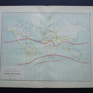Originele antieke wereldkaart uit 1871. Oude thematische kaart met de verspreiding van dieren, vogels en vissen.