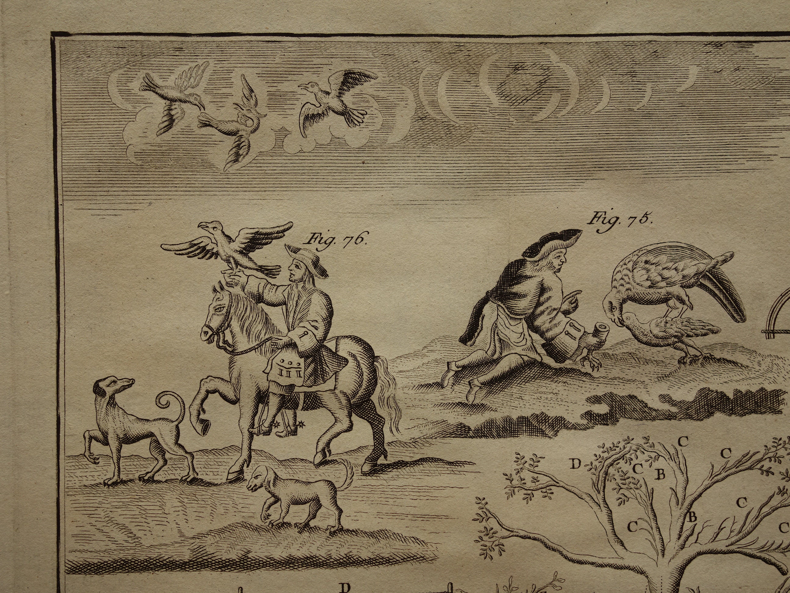 Bird Hunting 250 Years Old Print of Capturing Birds Original - Etsy Canada Bird Hunting 250 Years Old Print of Capturing Birds Original - Etsy Canada