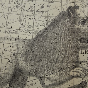 ASTROLOGIA stampa antica Vecchia carta stellare vintage poster astronomico del segno zodiacale Leone Cancro costellazione segni illustrazione regali