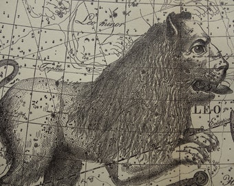 ASTROLOGY antique print Old star chart vintage astronomy poster of Leo Cancer zodiac sign constellation signs illustration gifts