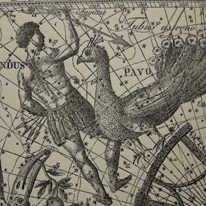 Antike ASTRONOMIE Druck alte Sternenkarte Vintage Astrologie Karte Poster von Tucan Indus Pavo Phoenix Argo Navis Zeichen Konstellation Sterne Tierkreis