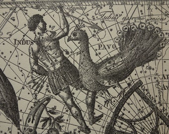 Antique ASTRONOMY print old star chart vintage astrology map poster of Tucan Indus Pavo Phoenix Argo navis sign constellation stars zodiac