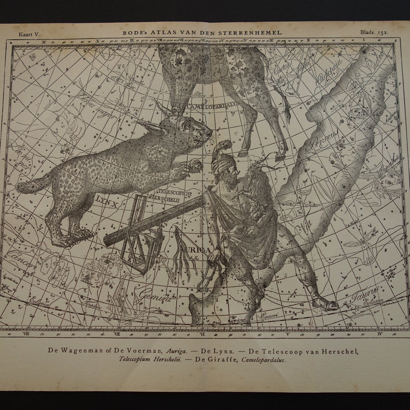 Antique Star Chart Etsy