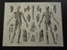 1849 antique anatomy print SKELETON original old anatomical illustration vintage pictures skeletons joints muscles knees ankle feet prints 