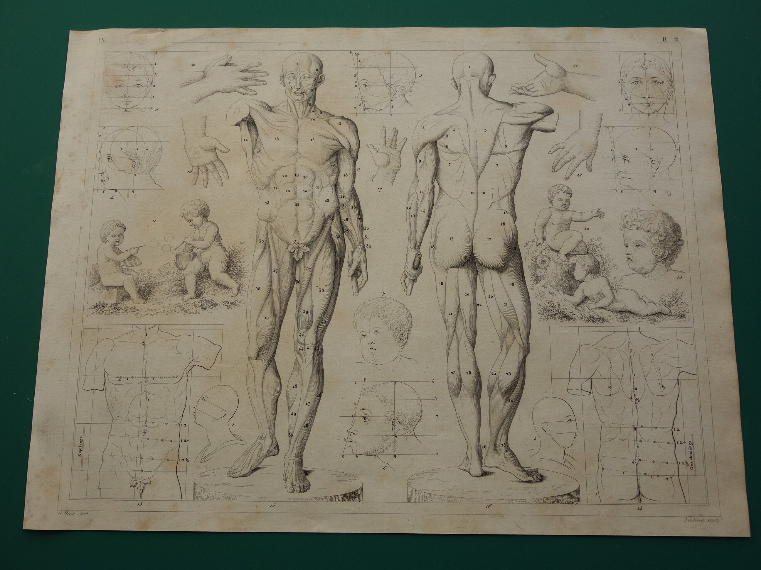 160+ years old print about painting technique Theory Human Figure Body Proportions Muscles original antique art prints vintage illustration