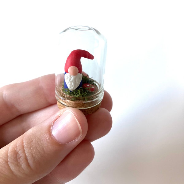 Gnome in a dome/ Tiny gnome/ Mini gnome/ Fairy Garden/ Cute gnome/ Tiny things/ Handmade gnome/ Miniatures