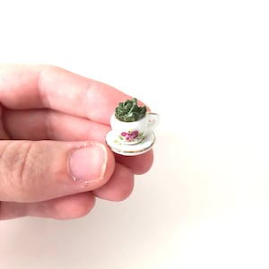 Tiny Succulent in a Teacup/ Tiny Teacup/ Miniature Teacup/ Miniature Succulent/ Tiny mug/ Tiny