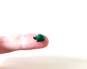 World's Tiniest Turtle/Tiny turtle/ Mini turtle/ Micro mini turtle/ Small turtle/ Handmade