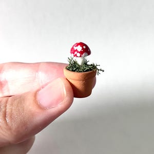 May include: A miniature terracotta pot containing a small red mushroom with white spots, nestled in green moss. The mushroom has a rounded cap and a short white stem, and the pot is a simple, unglazed clay color with a smooth, rounded rim.