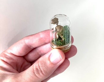 World’s Tiniest T Rex/ T Rex in a dome/Tiny T Rex/ Tiny Dino/Micro Dino/ Dino in a dome