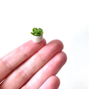 May include: A miniature succulent plant in a small white ceramic pot. The plant has vibrant green leaves, and the pot is held on a finger against a white background. This tiny potted plant is a charming decorative item.