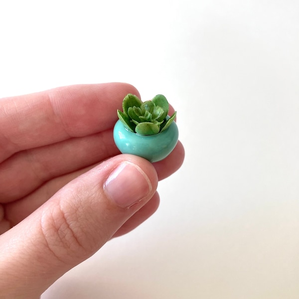 Miniature succulent in ceramic pot/ Tiny succulent/ Tiny faux succulent/ Mini plant/ Miniature/ Faux Succulent