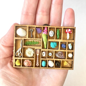 May include: A wooden display box with multiple compartments, each containing a miniature object. Items include a seashell, key, flower, mushroom, scissors, dice, and gemstones. The box is held in a hand.