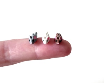 World’s Tiniest Mouse/ Tiny Mouse/ Tiny Mice/ Micro Mini Mouse/ Tiny/ Miniature Mouse