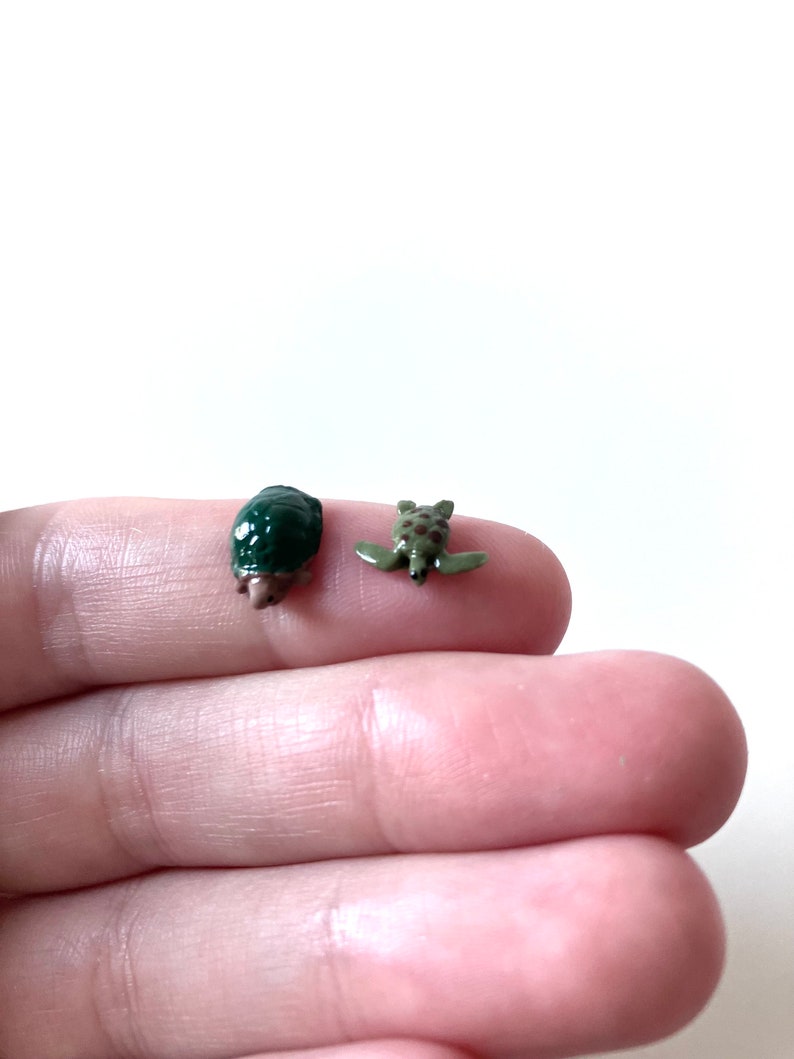 World's Tiniest Sea Turtle/tiny Turtle/ Mini Turtle/ Micro Mini Turtle ...