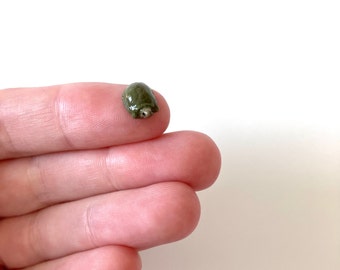 World's Tiniest Turtle/Tiny turtle/ Mini turtle/ Micro mini turtle/ Small turtle/ Handmade