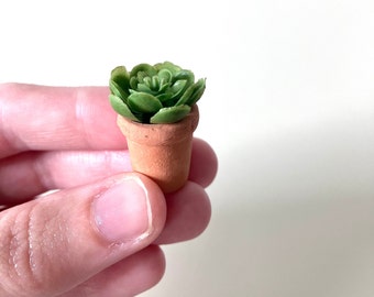 Miniature succulent in terracotta pot/ Tiny succulent/ Tiny faux succulent/ Mini plant/ Miniature/ Faux Succulent- not a real plant