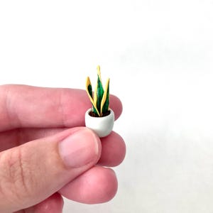 World's Tiniest Snake Plant/ Miniature snake plant in ceramic pot/ Mini/ Dollhouse