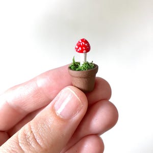 May include: A miniature ceramic mushroom in a small brown pot. The mushroom has a red cap with white spots and a white stem. The pot is filled with green moss. The item is held in a person's hand.