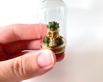 May include: A gold skull with a small green succulent plant growing on top, encased in a clear glass jar with a cork stopper.