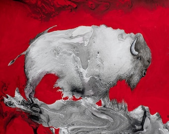 Buffalo - Study in Red